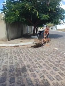 compressed_1747789451180