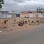 compressed_1751305216986