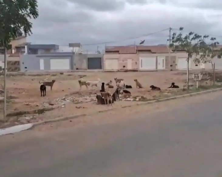 compressed_1751305216986